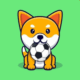 Minifootball