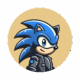 SONIC Coin
